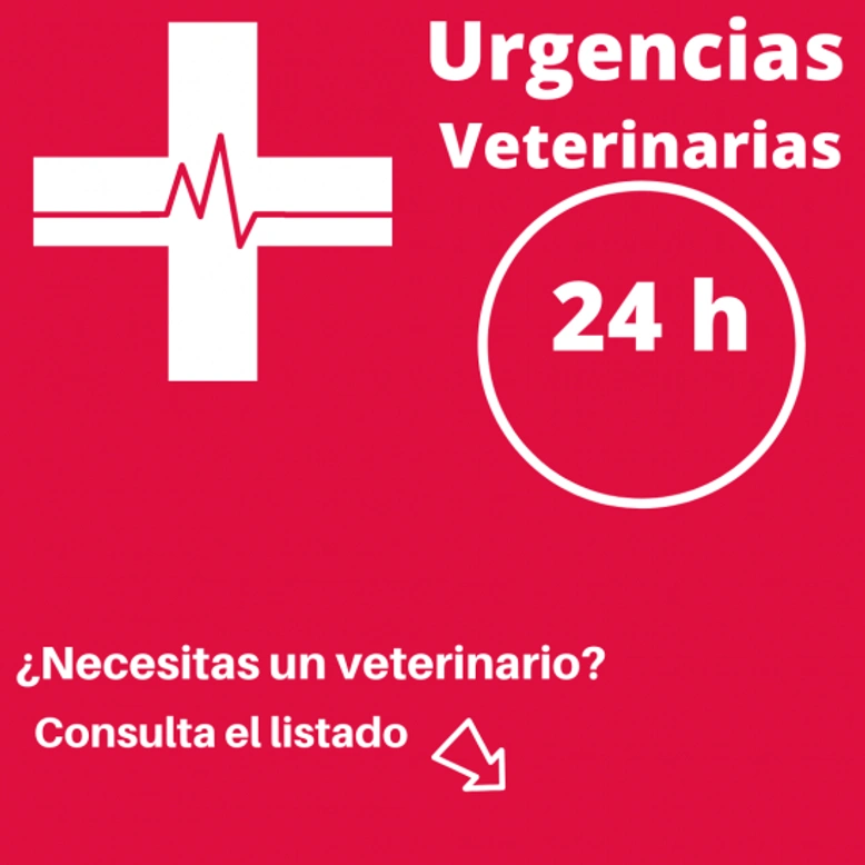 Urgencias veterinarias 24 horas