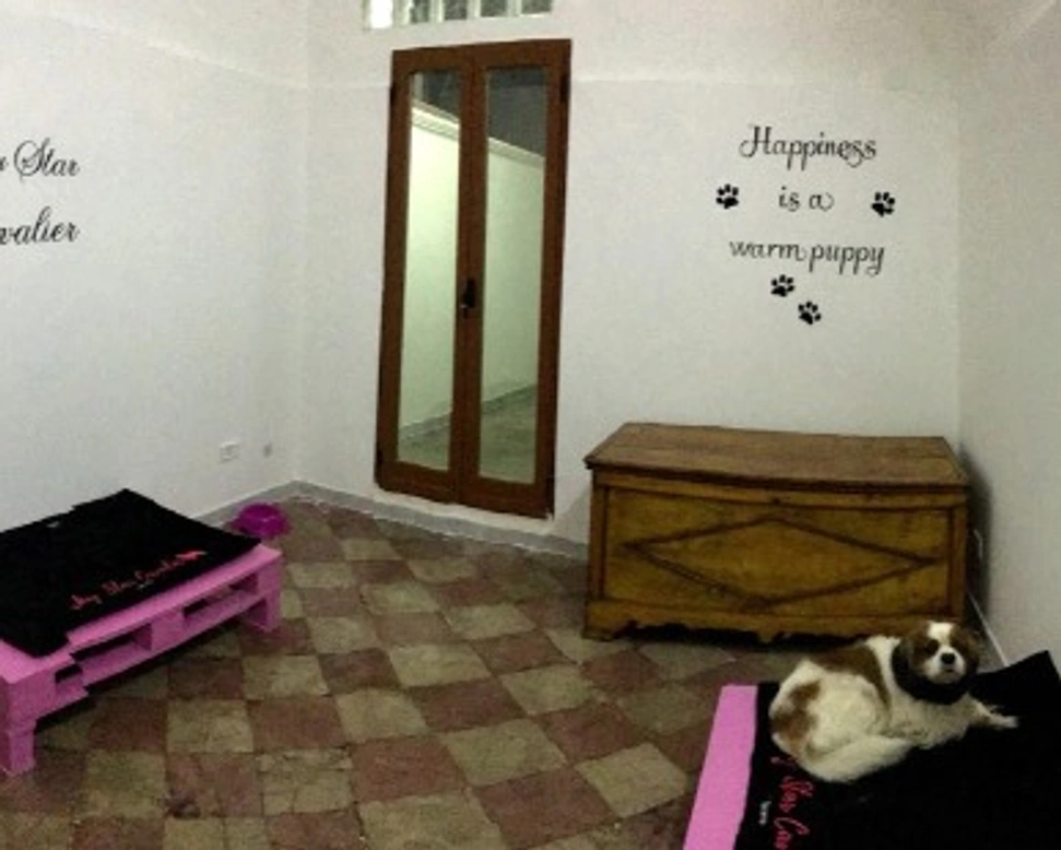 ALLEVAMENTO: SALA DELLA TENEREZZA