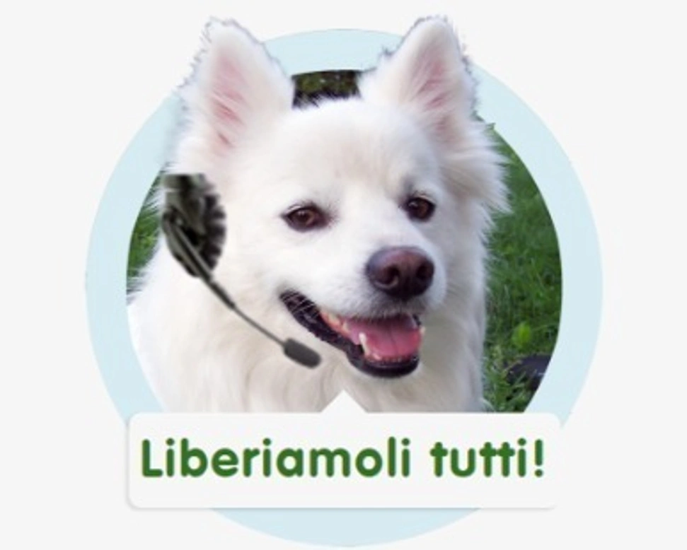 Servizi premium gratis per associazioni, volontari e canili