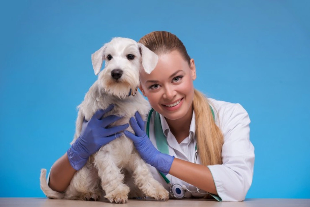 Why a six month health check is crucial for your puppy