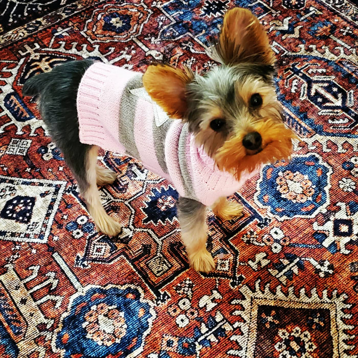 Photo from testimonial by Anonymous