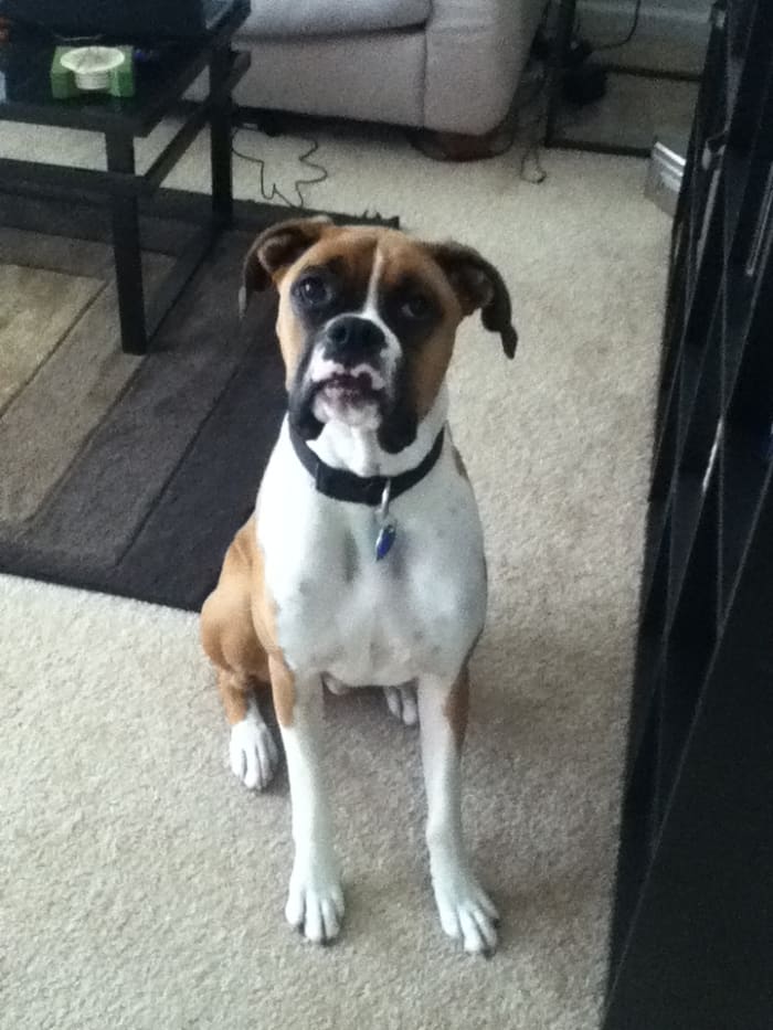 Photo from testimonial by Anonymous