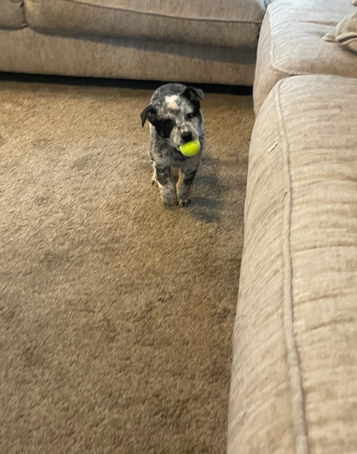 Photo from testimonial by Anonymous