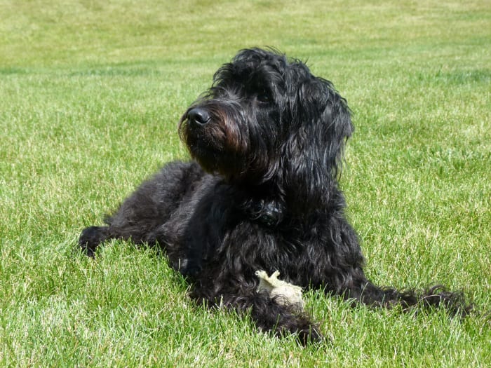 Photo from testimonial by Anonymous