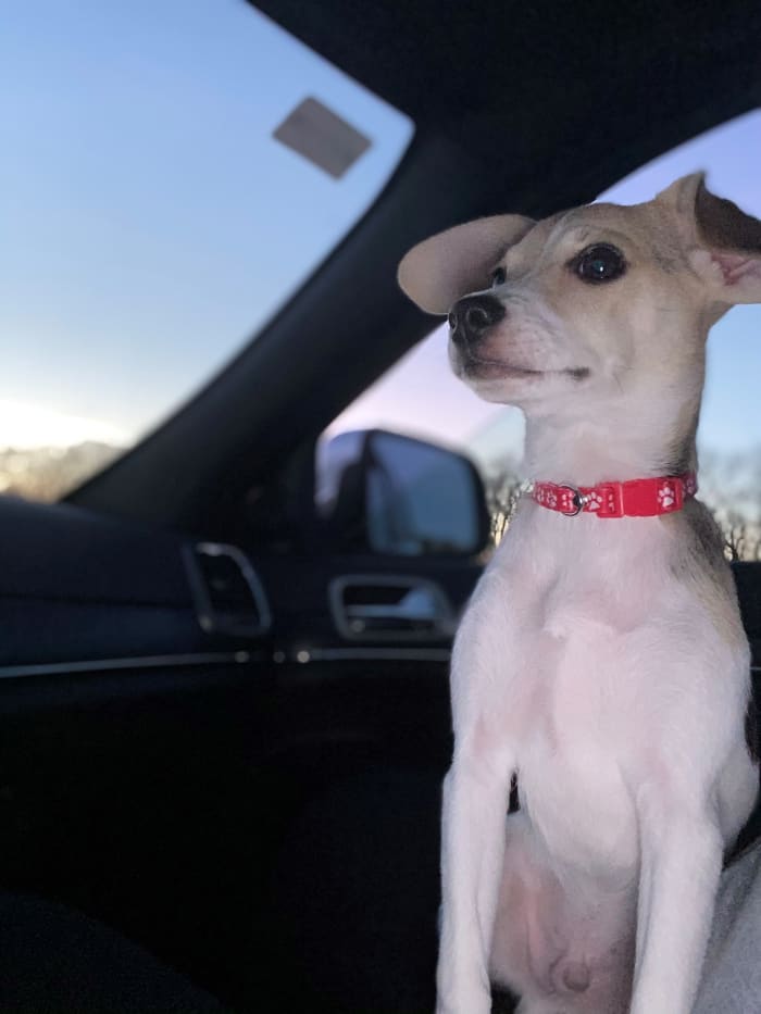 Photo from testimonial by Anonymous