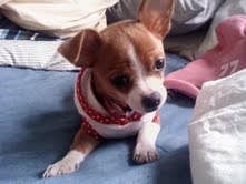 Photo from testimonial by Anonymous