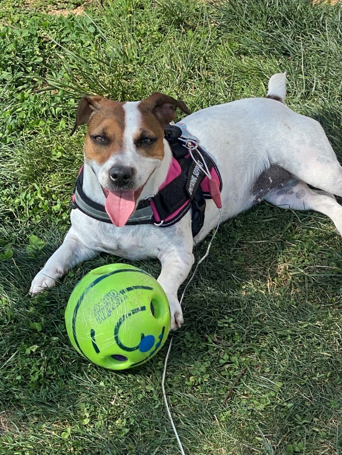 Photo from testimonial by Anonymous