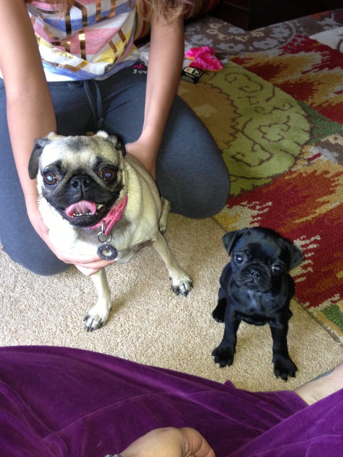 Photo from testimonial by Anonymous