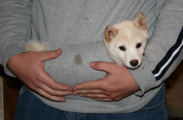 Photo from testimonial by Anonymous