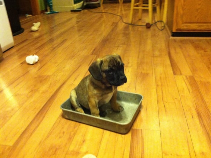 Photo from testimonial by Anonymous