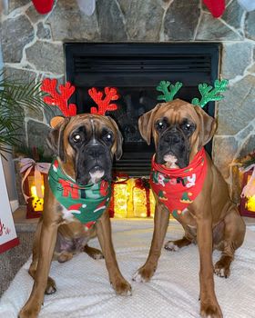 Photo from testimonial by Anonymous