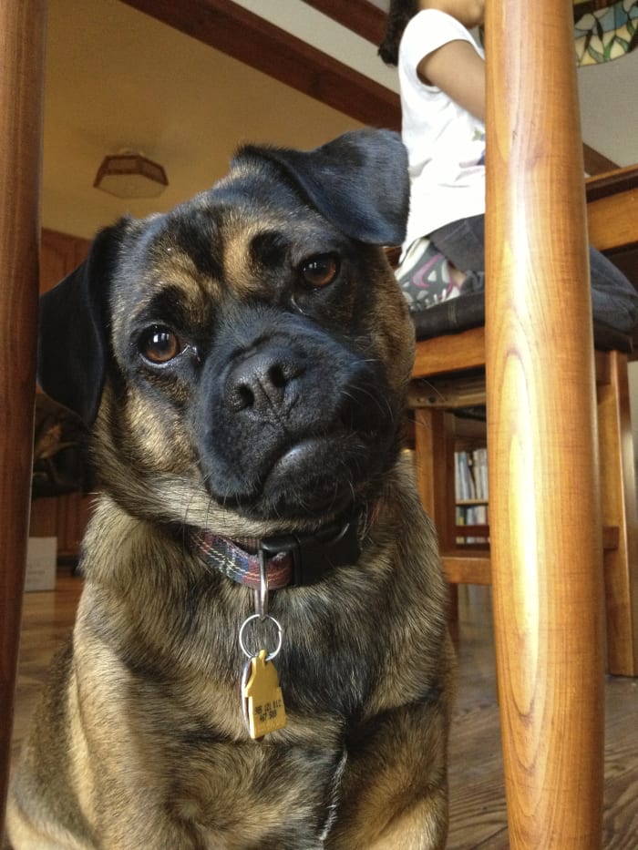 Photo from testimonial by Anonymous