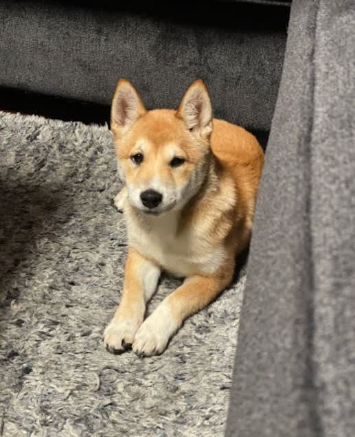 Photo from testimonial by Anonymous