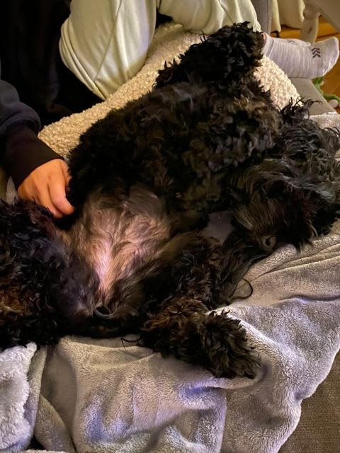 Photo from testimonial by Anonymous