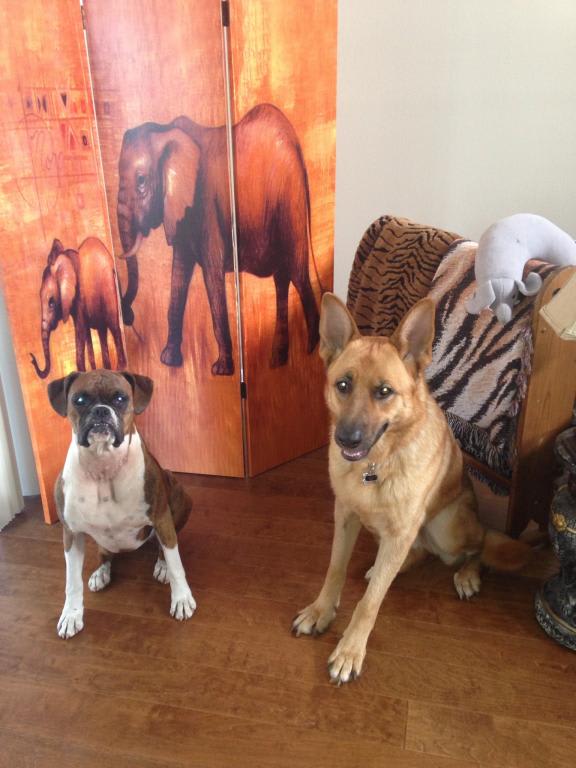 Photo from testimonial by Anonymous