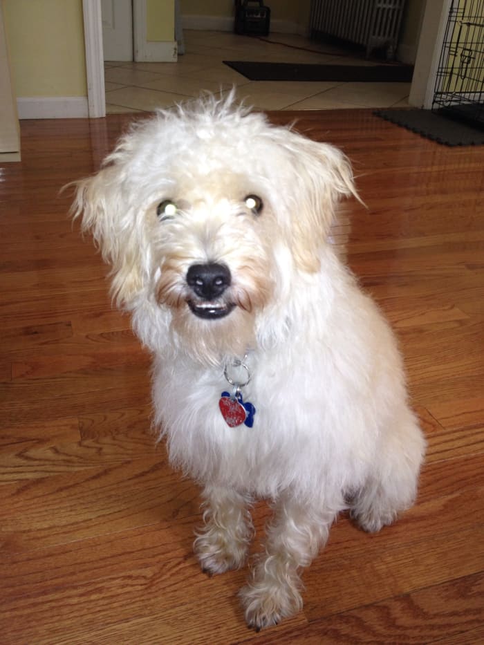 Photo from testimonial by Anonymous