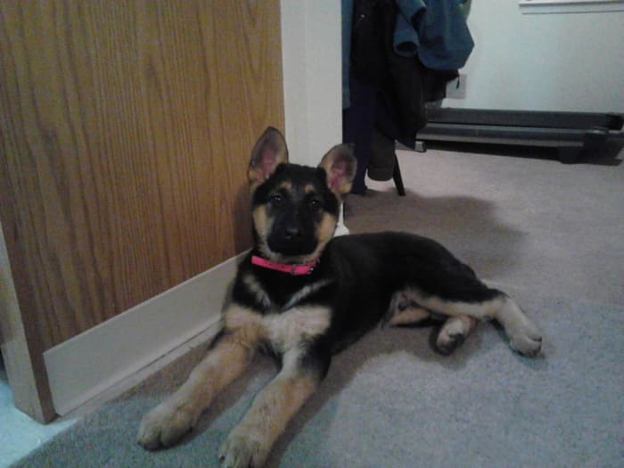 Photo from testimonial by Anonymous