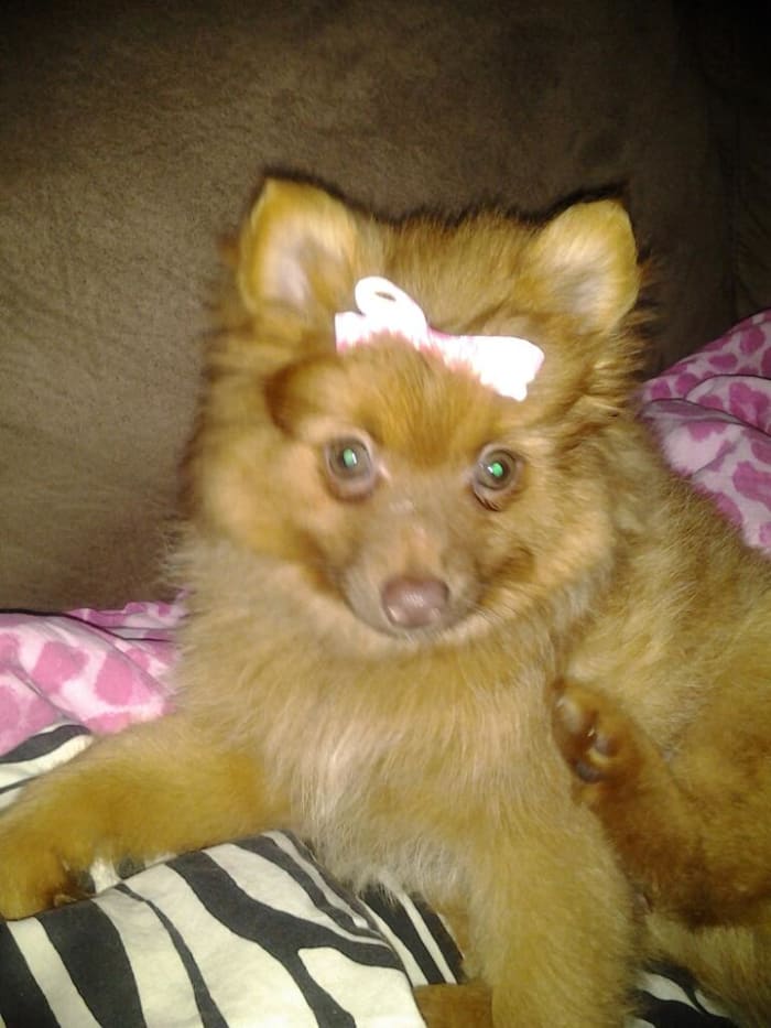 Photo from testimonial by Anonymous