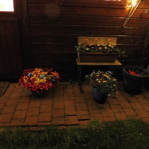 Fleurs en céramique