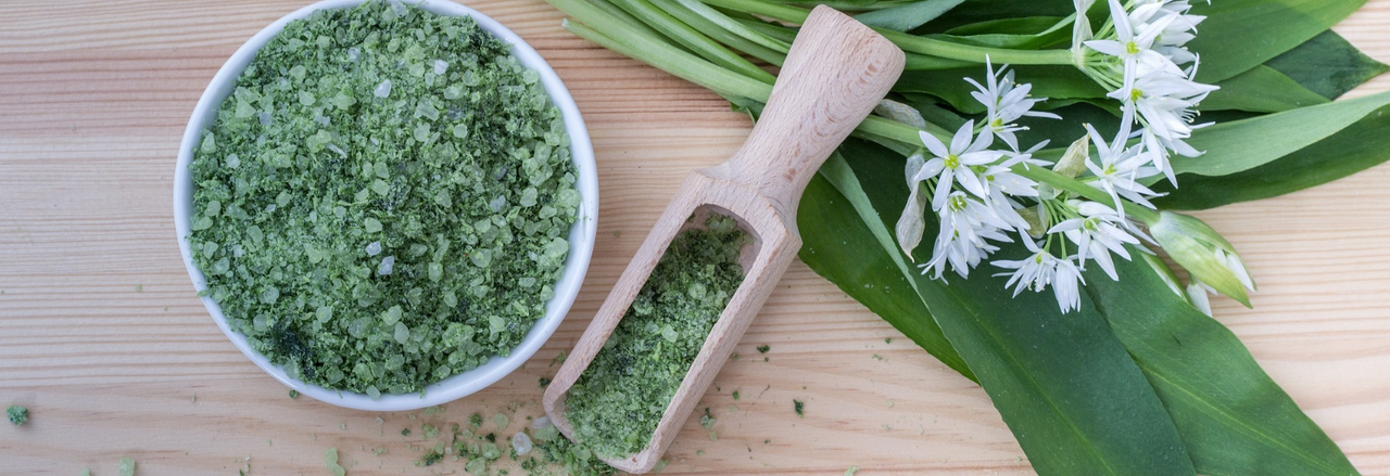 Zoom sur : l'ail des ours