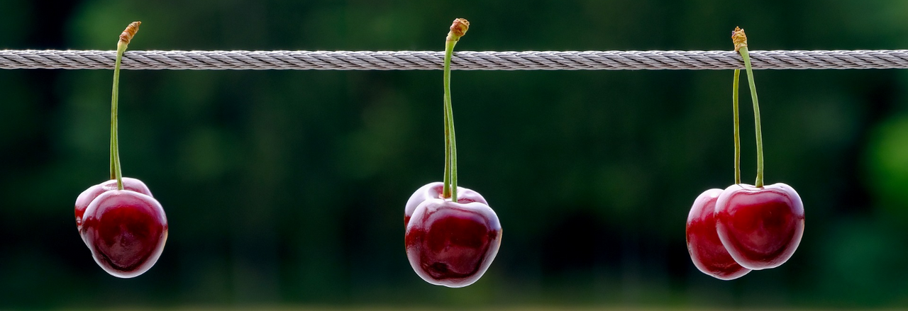 Oh les jolies cerises 🍒 