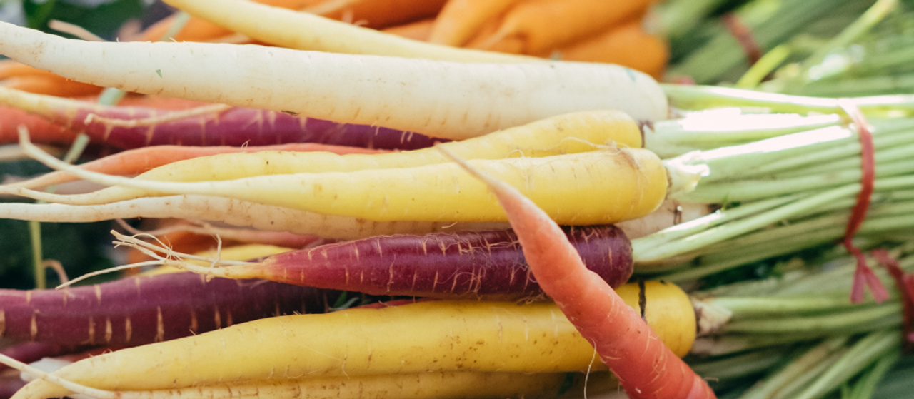 Des carottes de toutes les couleurs!