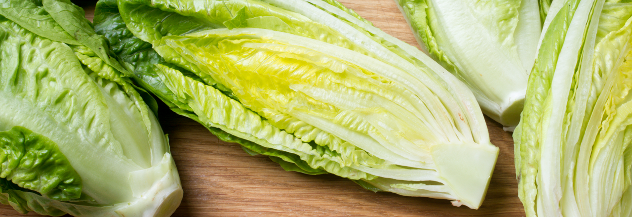Zoom sur : la salade romaine