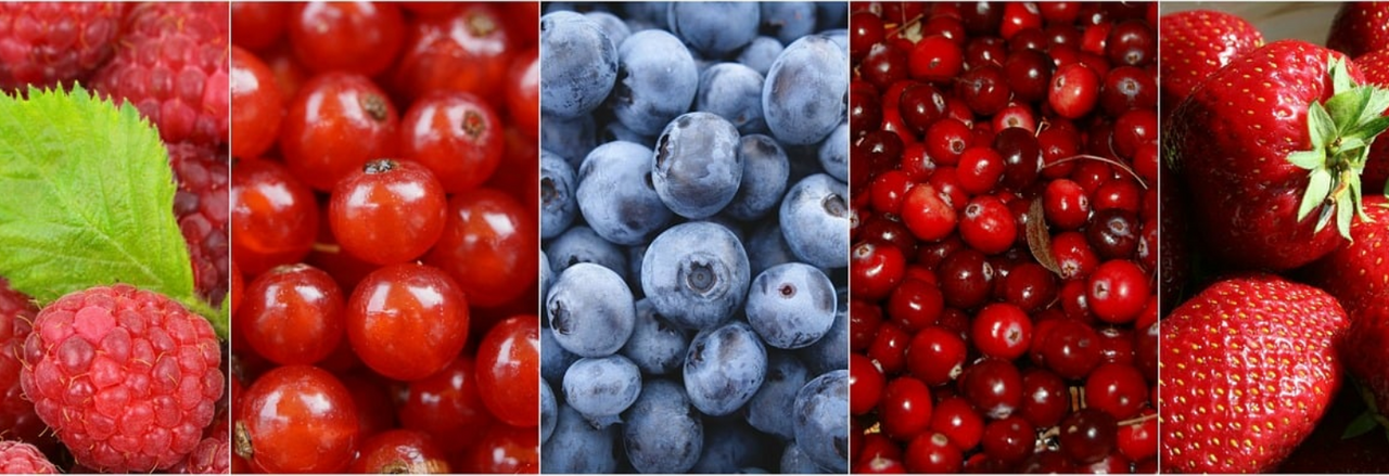 Vive les fruits rouges 🍓🍒🫐