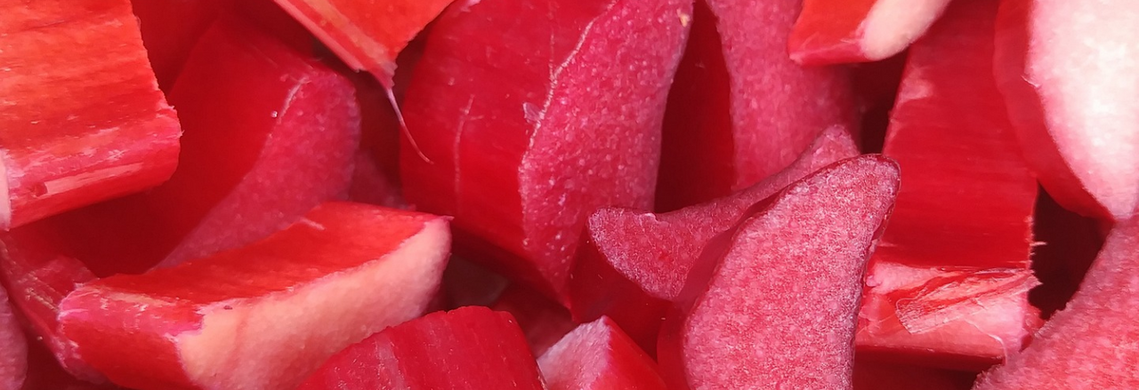Zoom sur...La rhubarbe !