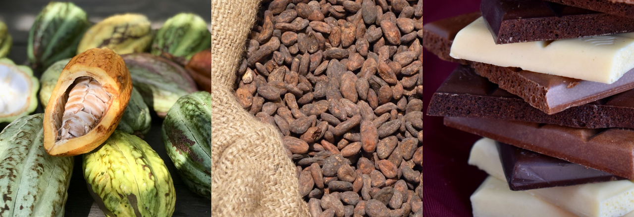 Histoire du cacao