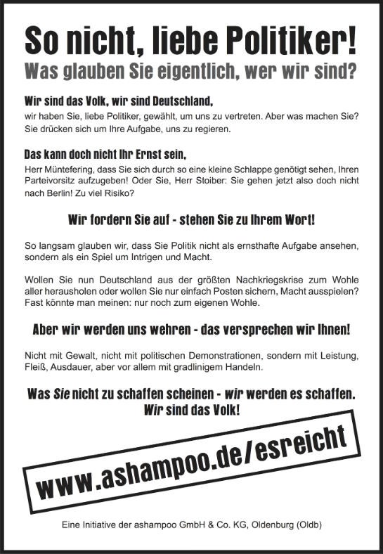 Die Anzeige von Ashampoo in der FAZ