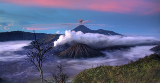 (Foto: unsplash.com)