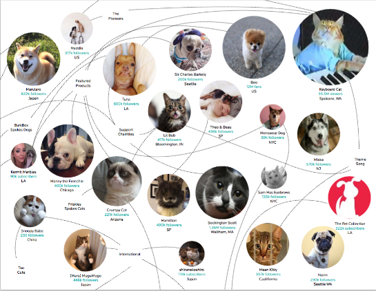 Die größten Petfluencer