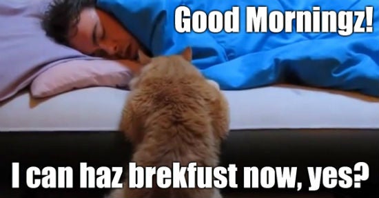 fruehstueck_aufmacher