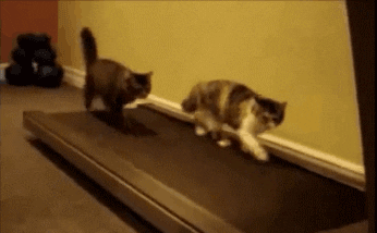 Vorsprung Benchmarking