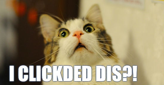 surprised_adwords_kitty