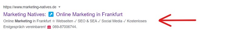 Meta SEO Screenshot.jpg