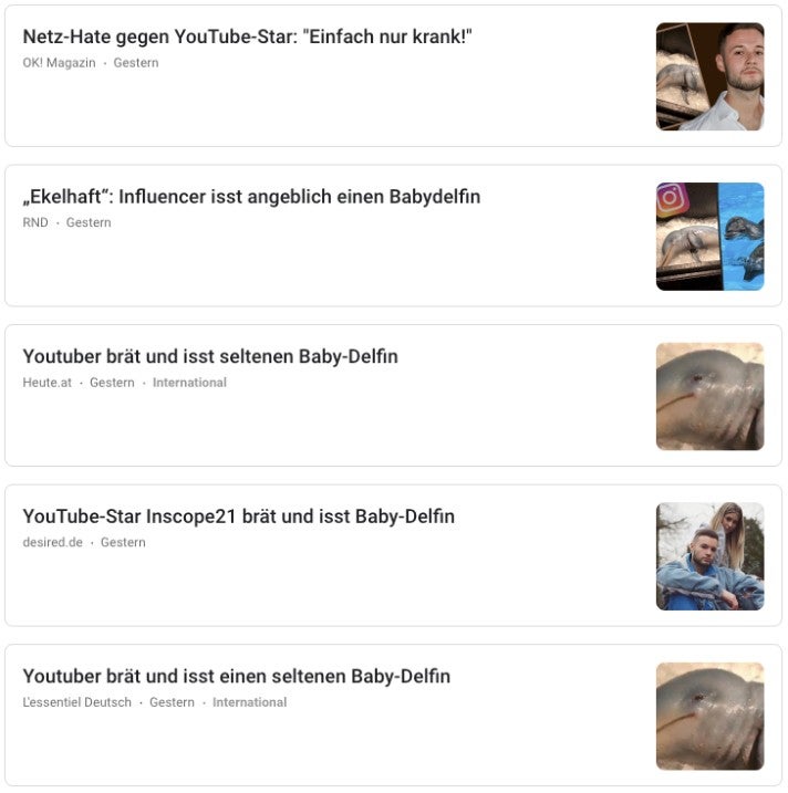 Google News Inscope Delfin Fleisch OMR