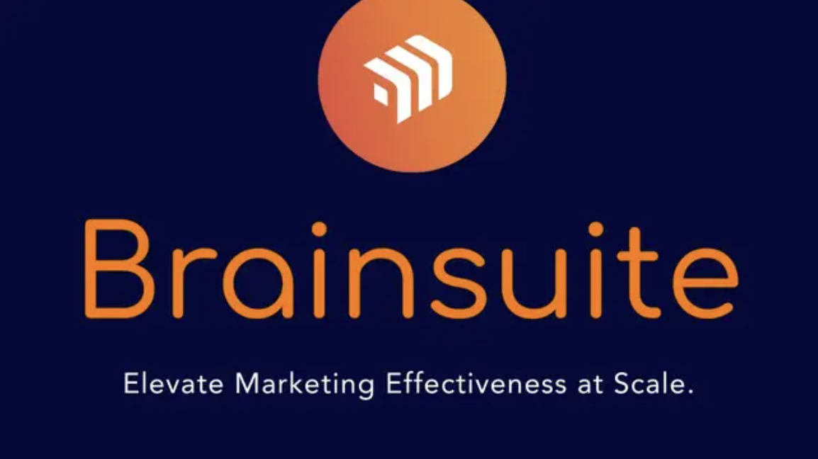 Brainsuite Screenshot