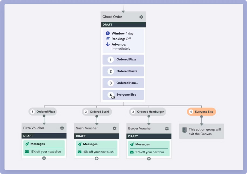 braze crm 7.png