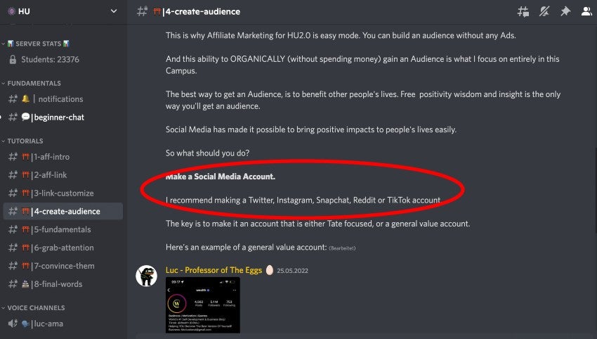 Auf dem Discord-Server zum Affiliate-Programm der "Hustle University" werden die Teilnehmer dazu animiert, Tates Videos über Social Media zu teilen und so Reichweite für ihre Provisions-Links zu generieren