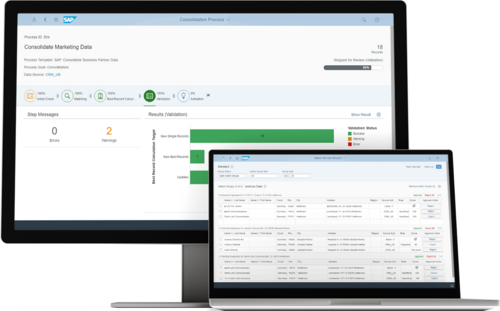 SAP Master Data Architect Screenshot