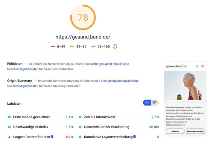 Google-Page-Speed-Analyse der Webseite Insights gesund.bund.de