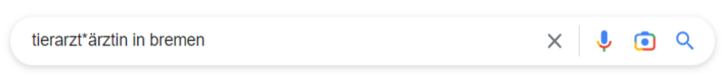 Google Lokale Suchanfrage.png