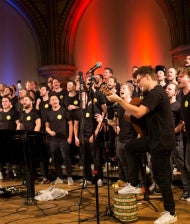 Die Hamburger Goldkehlchen