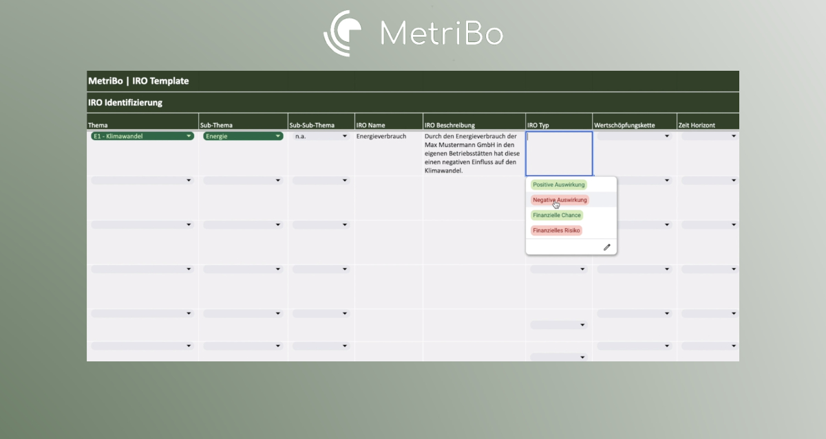 Metribo Screenshot