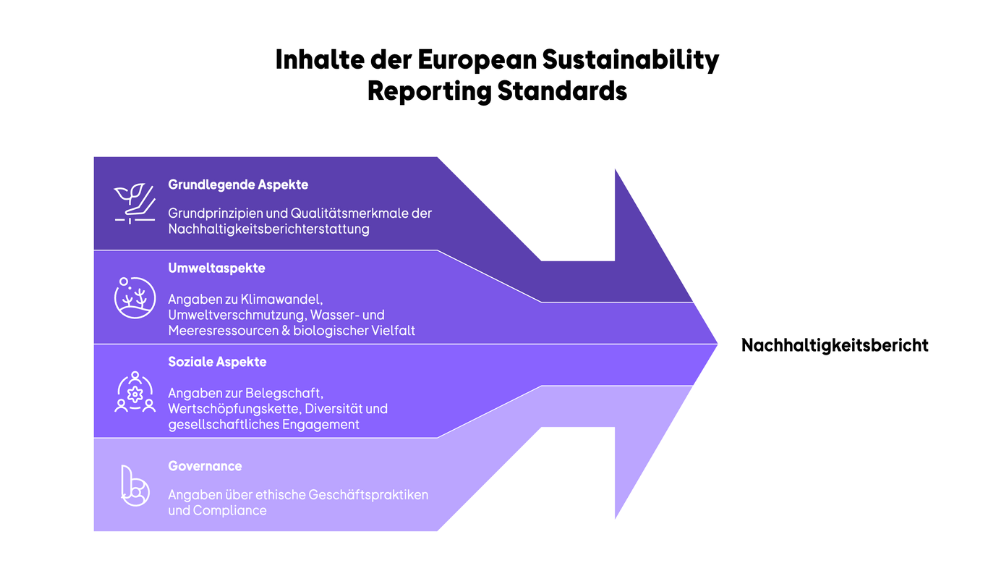 Infografik ESRS Inhalte.png