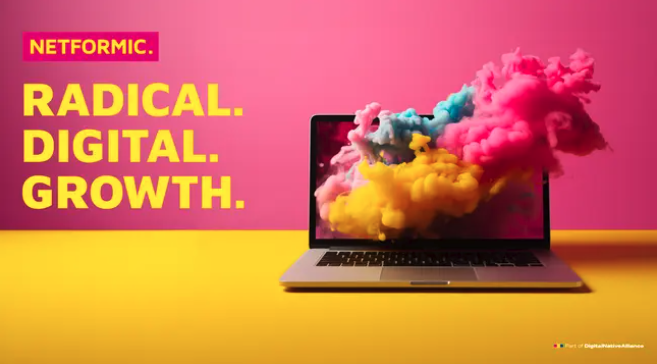 NETFORMIC Screenshot