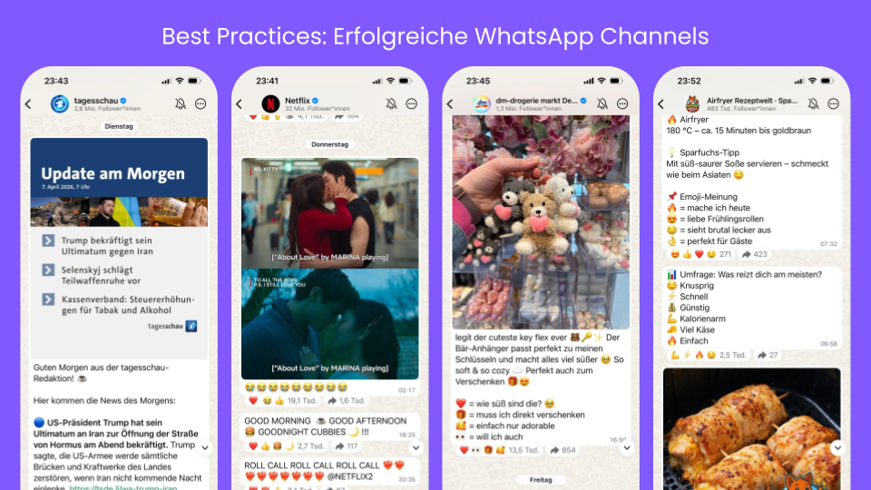 Gastartikel Bebilderung (1).png