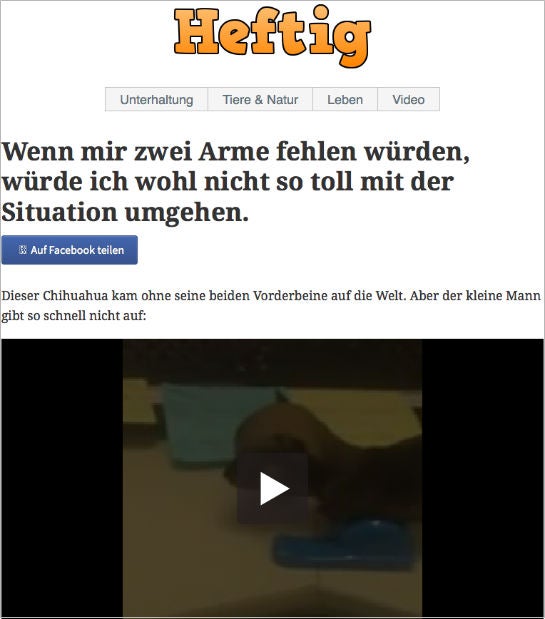 hund_mit_zwei_beinen_artikel